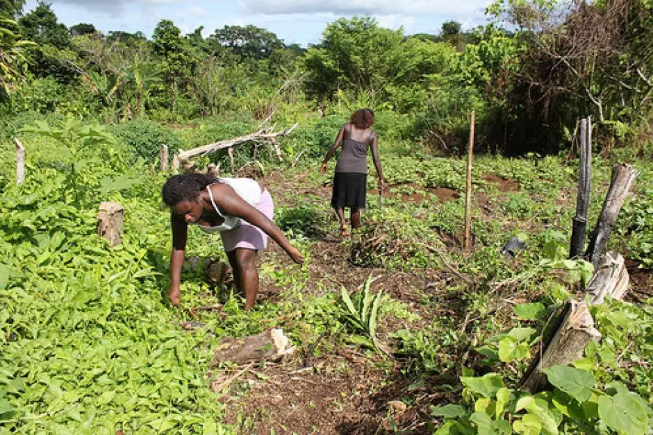 "This is important for this economic stimulus package roll out that all of our people, particularly the rural sector which this economic stimulus package is targeting, are given the benefit of firsthand information from the national government," Robson Djokovic said.