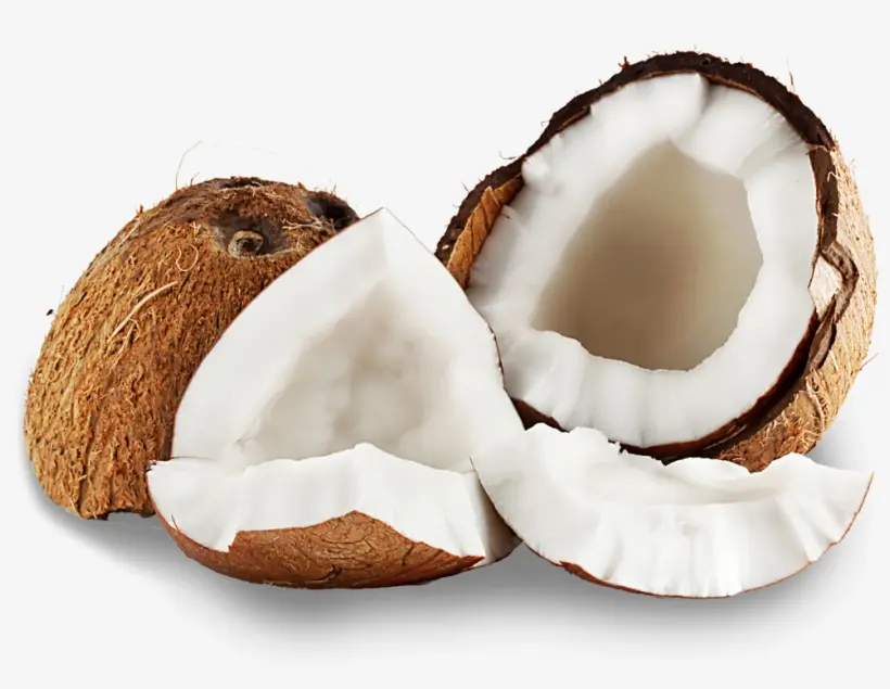CBSI says the improvement in copra and coconut oil industries stemmed from rising export prices during the year which encouraged farmers to increase their production. This is also with the government’s support through the Economic Stimulus Package (ESP).