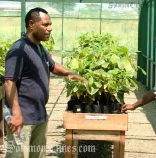 Dr John Konam (left), with cocoa seedlings at the Post-Entry Quarantine Facility.