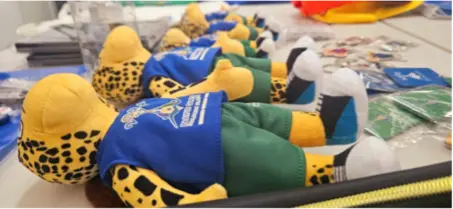 Solo the Mascot were amongst the Games Merchandise samples provided by Ausmart Company Limited.