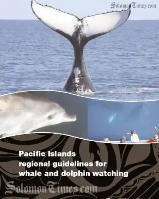 The new regional guidelines for whale and dolphin watching.