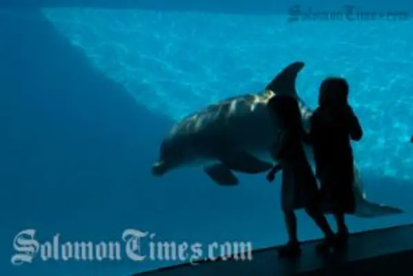 A Marine Life Park spokesperson said the park is pleased to receive the permit and looks forward to welcoming the dolphins to their new residence.