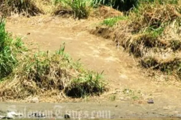 NDMO reports that parts of Guadalcanal have not had rain for almost two months resulting in streams drying up.