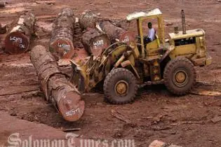 Mr Rarawa said the country's log production last year fell by 31% last year.