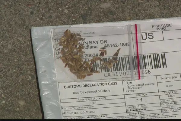 "Anyone receiving seeds that they did not order should not open the packets or plant the seeds," Michael Wallace, director of communications at Virginia Department of Agriculture and Consumer Services, told VOA.