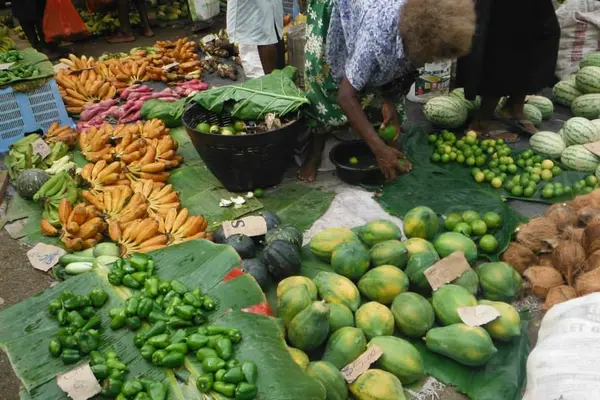 The Opposition Leader said millions of dollars had been spent on several mock lockdowns in the past and there should already be mechanisms in place to address food supply and distribution in such situations.