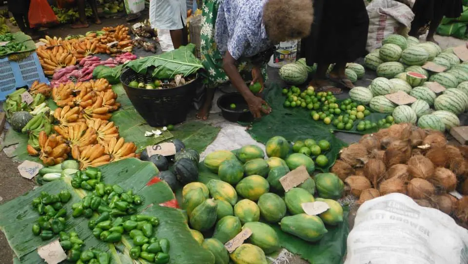 The Opposition Leader said millions of dollars had been spent on several mock lockdowns in the past and there should already be mechanisms in place to address food supply and distribution in such situations.