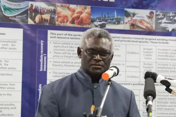 “The effective implementation of the stimulus package, especially coordinating the implementation phase in the short to medium term is critical,” he said.
