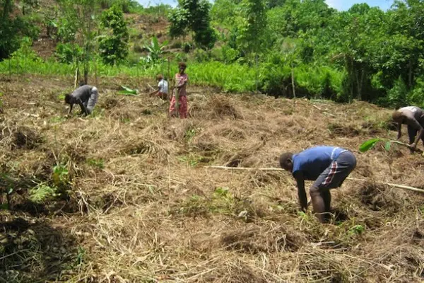 For rural people to have access to the funds, there should be a partnership within each constituencies, members of parliament, as well as the Ministry of agriculture.