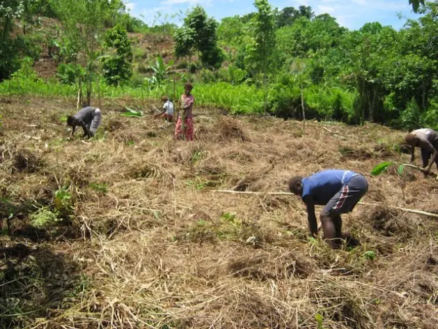 For rural people to have access to the funds, there should be a partnership within each constituencies, members of parliament, as well as the Ministry of agriculture.