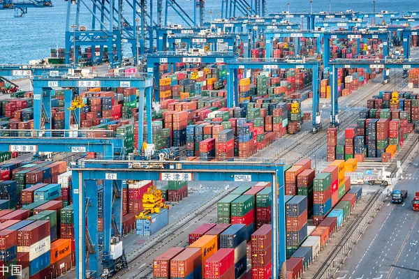 Around 78% of goods exported to China are raw materials – most of it are round logs.