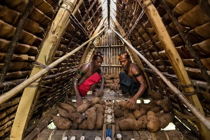 Two men pile tubers in a yam house. Years of drought have left them tragically empty.