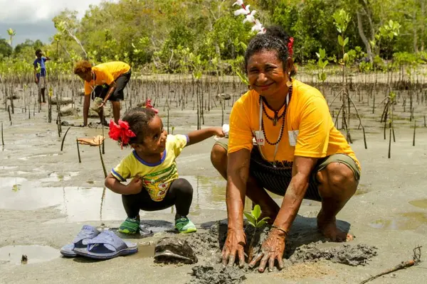 Part of the women’s project involves restoring and restocking mangroves.