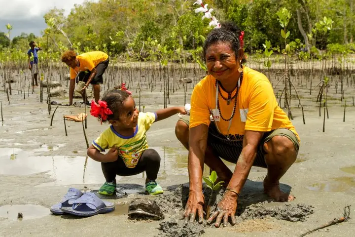 Part of the women’s project involves restoring and restocking mangroves.