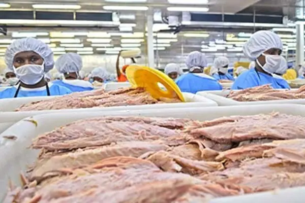 RD Tuna cannery is based in Madang, a growing fish processing hub in PNG.