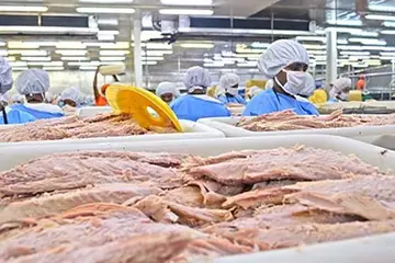 RD Tuna cannery is based in Madang, a growing fish processing hub in PNG.