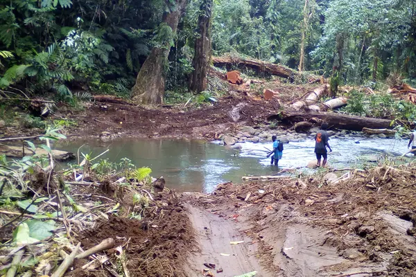 The decision will impact logging companies’ responsibilities and in particular residents of villages who are not primary landowners.