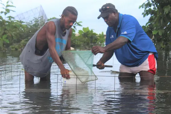 Maxwell Ham (R) trying to salvage whatever he could from his farm after the damage caused by the recent weather.