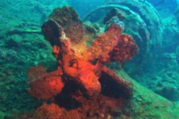 Countless torpedos have been destroyed by the police, as some often gets washed close to shore.