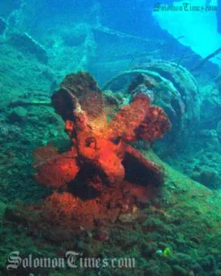 Countless torpedos have been destroyed by the police, as some often gets washed close to shore.