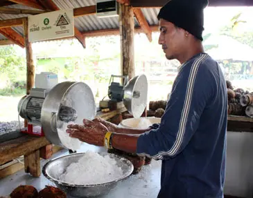 Rural Communities Reap Benefits from Coconuts