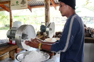 Rural Communities Reap Benefits from Coconuts