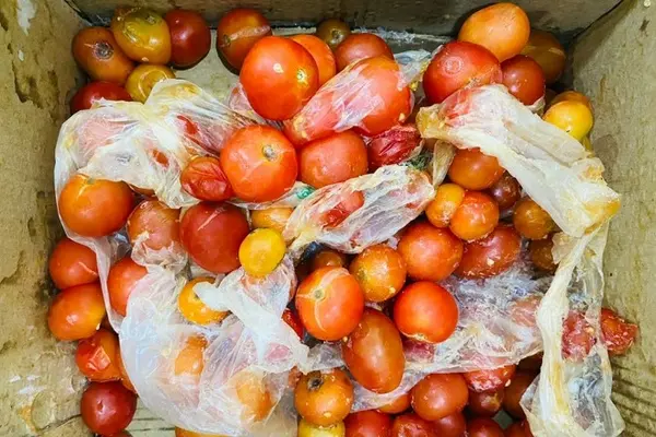 The undeclared items of fresh fruits and vegetables were identified through customs and biosecurity X-ray screenings.