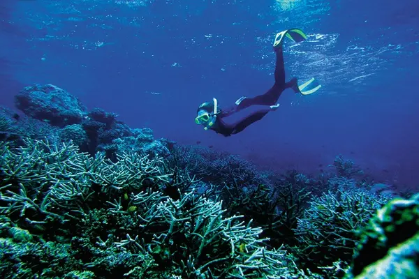 Australian visitor arrivals continue to dominate, the 10,161 number recorded accounting for 39.52 per cent of all arrivals.