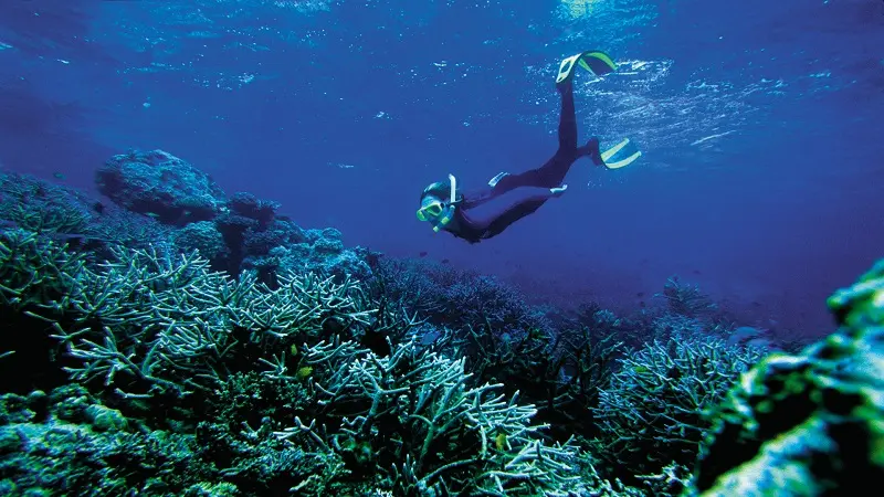 Australian visitor arrivals continue to dominate, the 10,161 number recorded accounting for 39.52 per cent of all arrivals.
