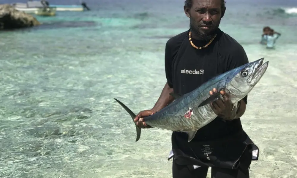 The project will also support coastal fisheries through activities to ensure Pacific fishers, their families, and their communities see lasting benefits from the seafood sector into the future.
