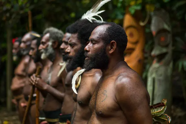 When they arrived in Vanuatu, they carried some Papuan ancestry but still spoke languages from a linguistic family common in the islands of southeast Asia, called Austronesian.