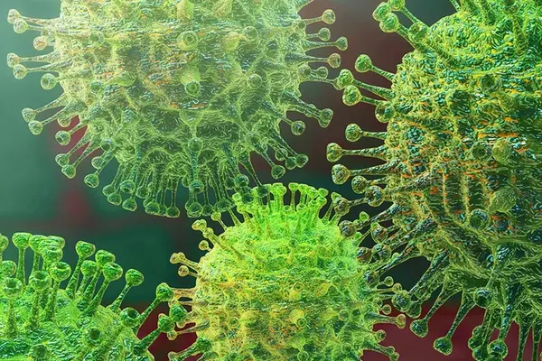 Coronaviruses are zoonotic, meaning they are transmitted between animals and people. Detailed investigations found that SARS-CoV was transmitted from civet cats to humans and MERS-CoV from dromedary camels to humans. Several known coronaviruses are circulating in animals that have not yet infected humans.