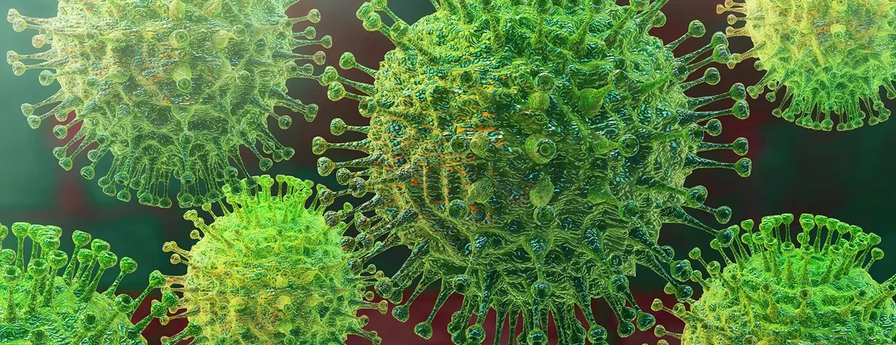 Coronaviruses are zoonotic, meaning they are transmitted between animals and people. Detailed investigations found that SARS-CoV was transmitted from civet cats to humans and MERS-CoV from dromedary camels to humans. Several known coronaviruses are circulating in animals that have not yet infected humans.