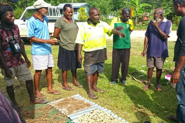 Co-facilitated by lead Kava Farmer, Mr. Patrick Soruevo, a total of 22 farmers from ward 12 around Ringi area participated in the training.