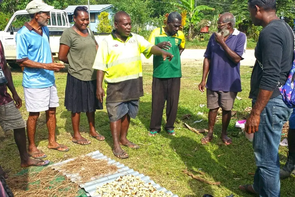 Co-facilitated by lead Kava Farmer, Mr. Patrick Soruevo, a total of 22 farmers from ward 12 around Ringi area participated in the training.