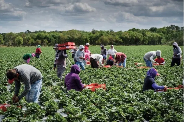 Once eligible, around 200 long-term Seasonal workers will soon be able to bring their immediate family members to Australia.