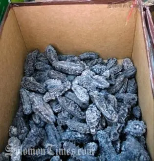 Illegal stocks of beche-de-mer were recently confiscated, and the owner claimed that there was "collusion with certain officials within the Ministry," and the mass confiscation was just to save face.