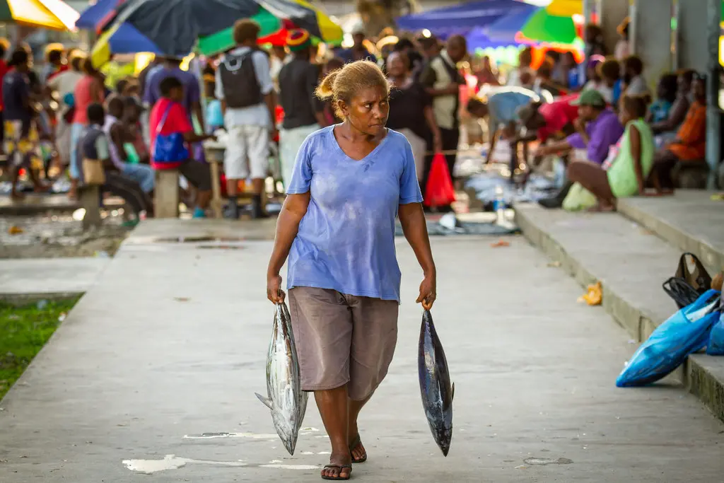 The project, which is also being supported by the governments of Australia and New Zealand, is seen as transformative for Solomon Islands. Malaita Province in particular, where Bina Harbor is located, stands to benefit from a range of economic and employment opportunities.