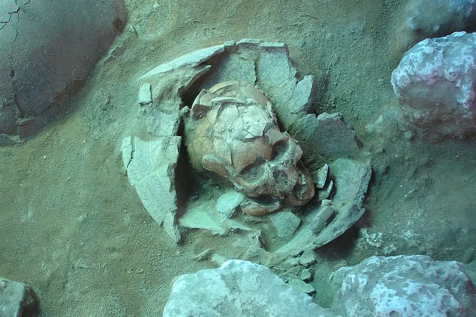 To make the analysis, the researchers used a sample from the petrous bone — a bone in the skull near the ear — that they've found to be best at preserving DNA that's many thousands of years old.
