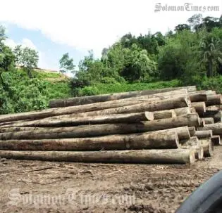 Paul Gruenwald, ANZ chief economist for the Asia Pacific, in an interview with Radio Australia, says that the strong growth is attributed to the logging sector.