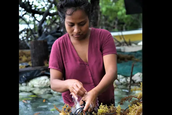 Teue says that what her father taught them is to make a living that is sustainable, and one that keeps their family together. For that she is always grateful to her father.