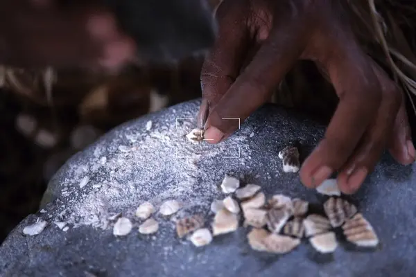 Traditional shell money making in Langa Langa Lagoon, Solomon Islands.  