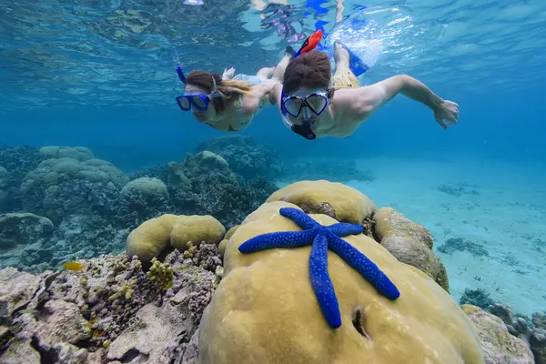 In light of the severity of COVID-19’s impact on tourism operators, the SITIDF Board determined a framework to redirect funds to provide emergency assistance to approved tourism operators.