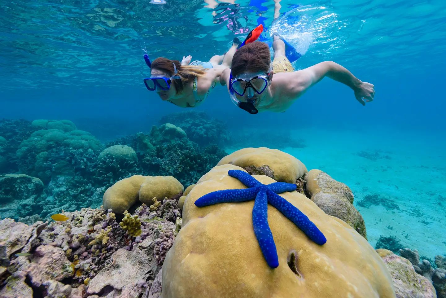 In light of the severity of COVID-19’s impact on tourism operators, the SITIDF Board determined a framework to redirect funds to provide emergency assistance to approved tourism operators.