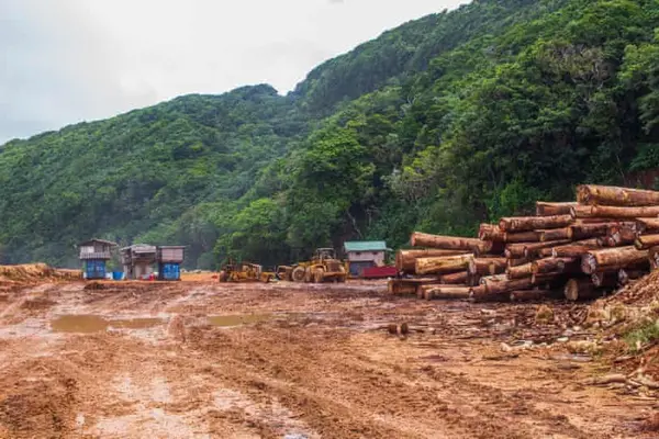 It is understood the male victim had an argument with the suspects on New Year’s Day at a logging camp in Rennell which led to physical altercation, the victim left soon after.