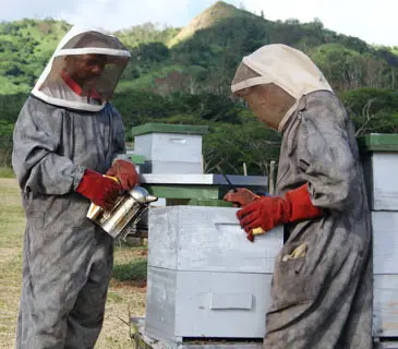 European Union Helps Boost Fiji's Bee Farming