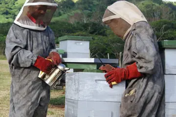European Union Helps Boost Fiji's Bee Farming