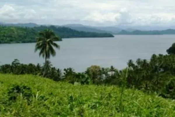 The Danny Philip government has come up with a new policy to free up customary lands for economic development in the Solomon Islands, without alienating the traditional owners.