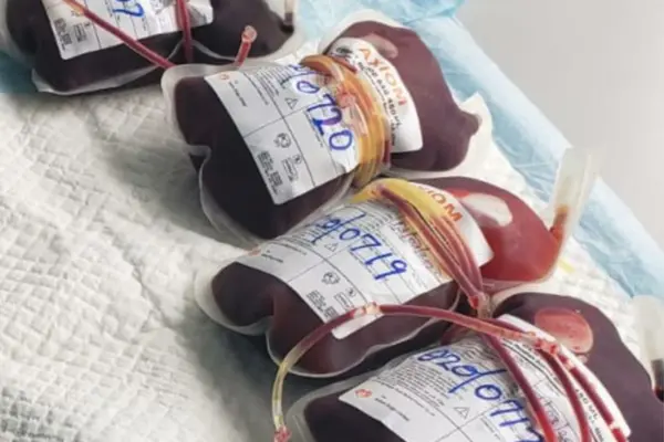 The Solomon Islands Red Cross Society is the only organization that has a blood donor voluntary program. Civic awareness on the importance of blood donation is an on-going activity for the Society. However, the fear of needles and sight of blood is an enduring challenge for them.