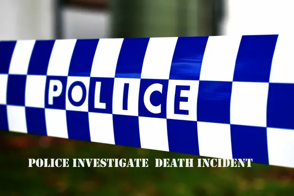 The deceased was among five others who stole a mobile phone from the suspect and his cousin brother.